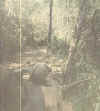 Roy Williams M48 in Jungle 1968.jpg (28915 bytes)
